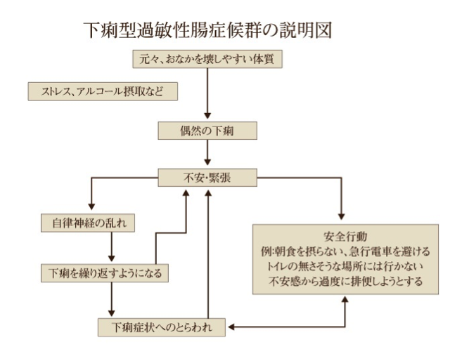 下痢型過敏性腸症候群の説明図